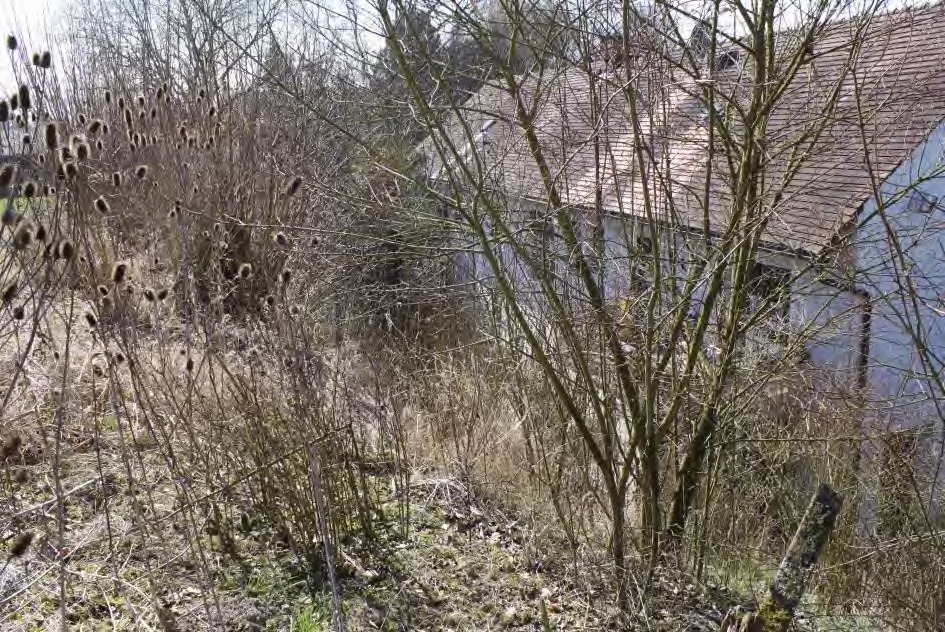 Foto 42 von 52 — Einfamilienhaus