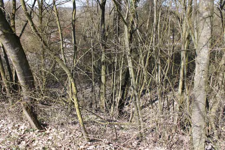 Foto 43 von 52 — Einfamilienhaus