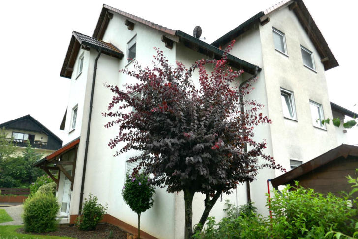 Foto 6 von 11 — Eigentumswohnung (1 bis 2 Zimmer), Kfz-Stellplatz