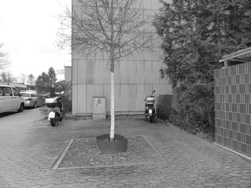 Foto 4 von 8 — Gewerbeeinheit (z.B. Laden, Büro), gewerblich genutztes Grundstück, Teileigentumseinheit mit Beherbergungsbetrieb