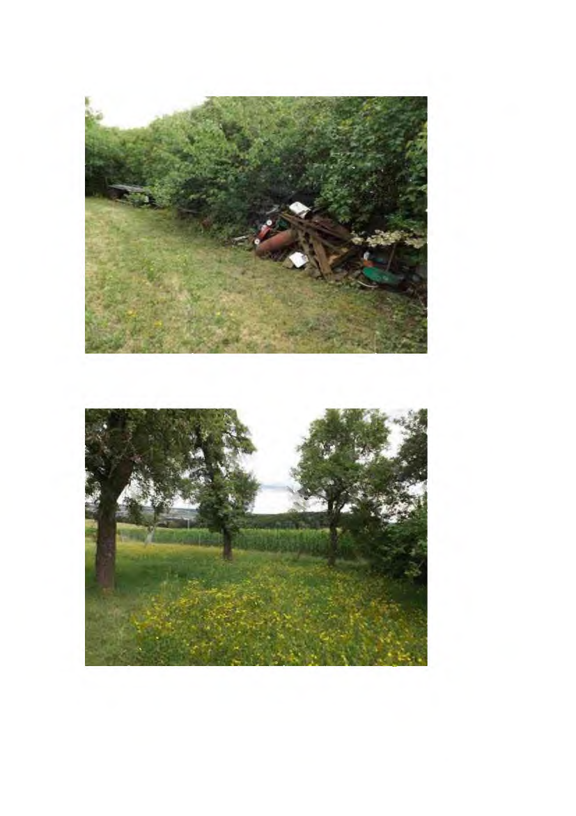 Foto 76 von 191 — land- und forstwirtschaftlich genutztes Grundstück, landwirtschaftliches Anwesen mit Wohnhaus und Wirtschaftsgebäuden
