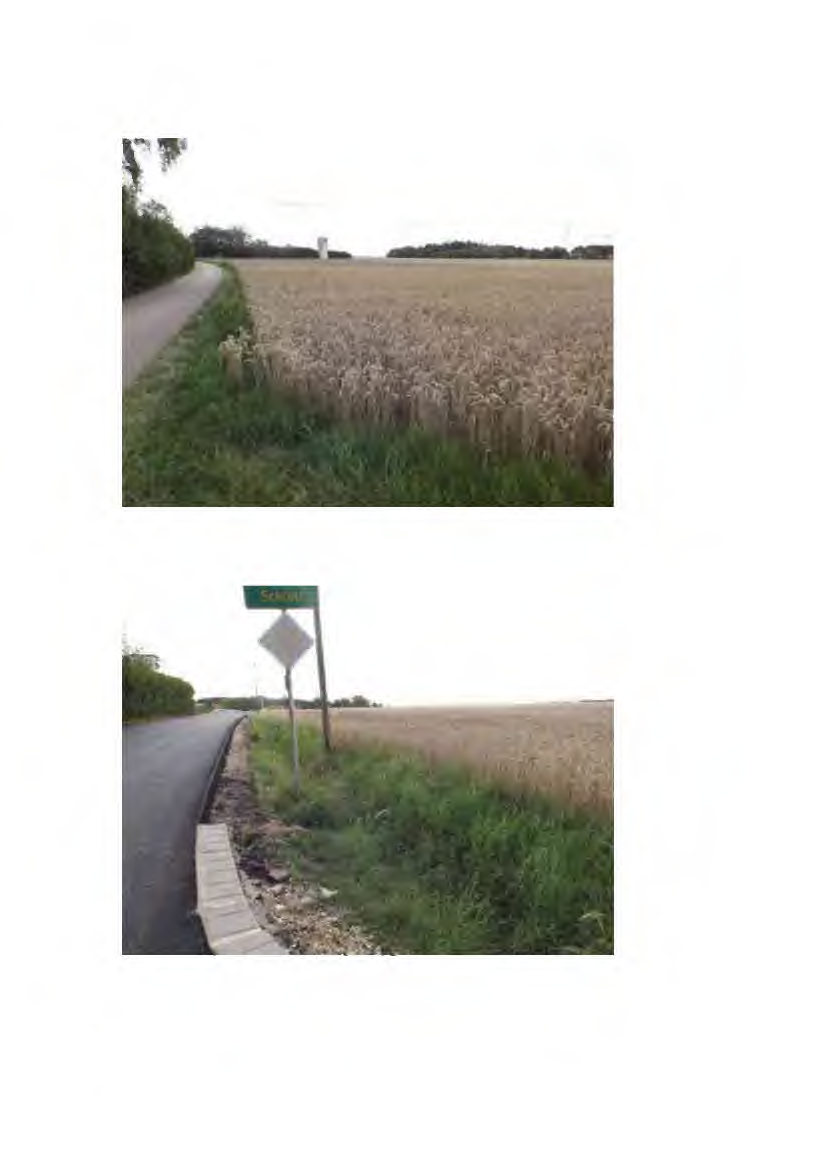 Foto 24 von 191 — land- und forstwirtschaftlich genutztes Grundstück, landwirtschaftliches Anwesen mit Wohnhaus und Wirtschaftsgebäuden
