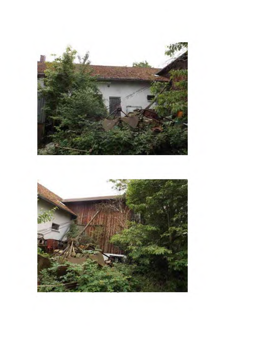 Foto 30 von 191 — land- und forstwirtschaftlich genutztes Grundstück, landwirtschaftliches Anwesen mit Wohnhaus und Wirtschaftsgebäuden