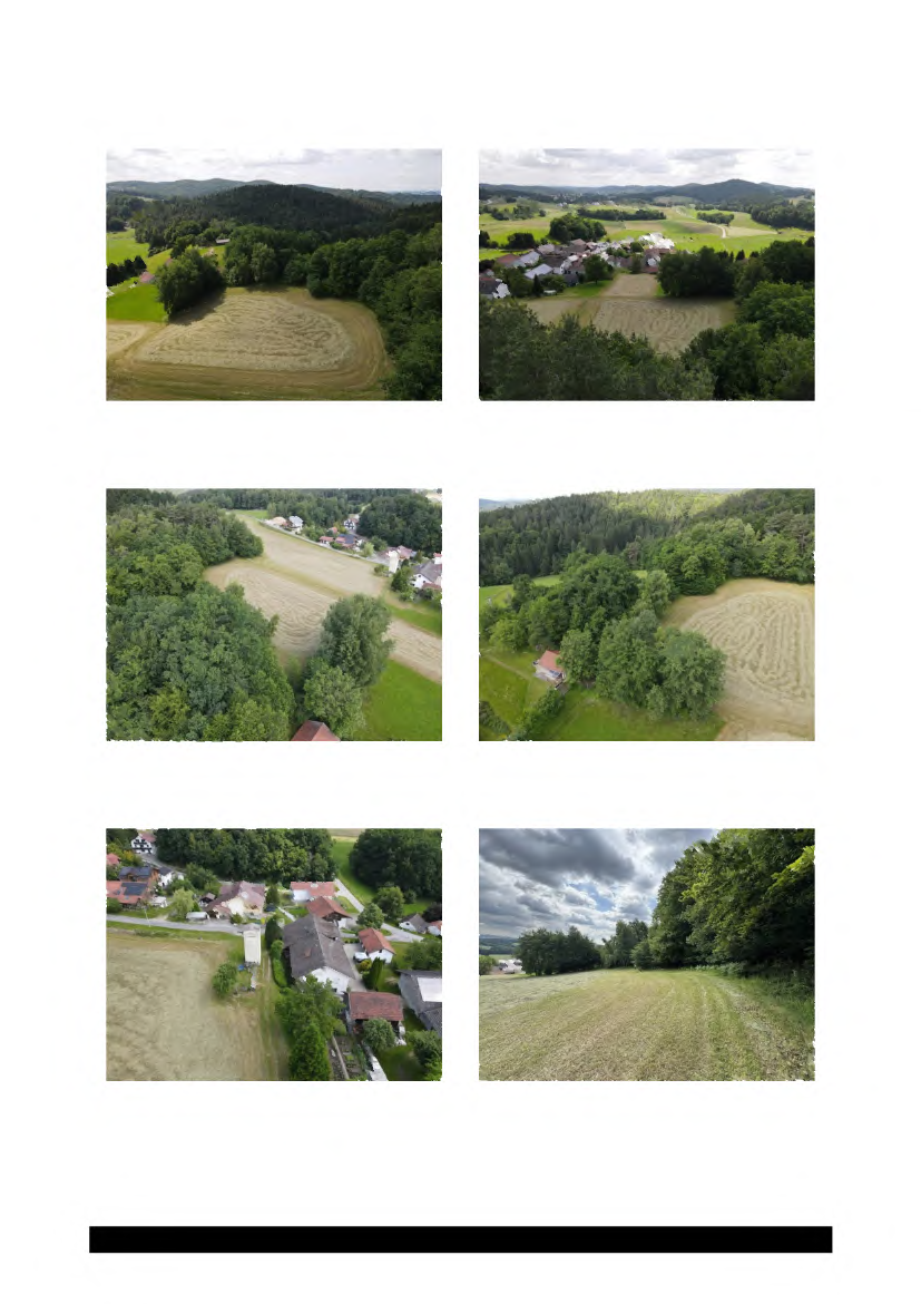 Foto 60 von 61 — land- und forstwirtschaftlich genutztes Grundstück
