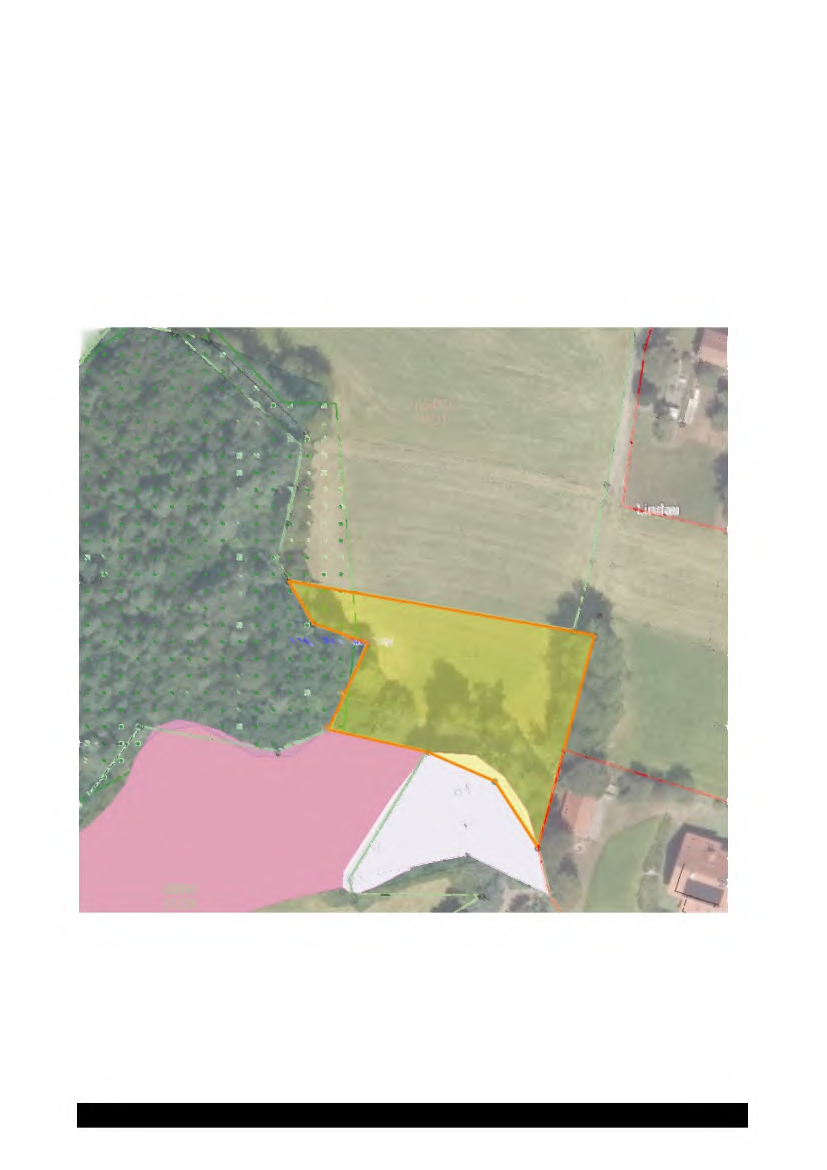 Foto 25 von 61 — land- und forstwirtschaftlich genutztes Grundstück