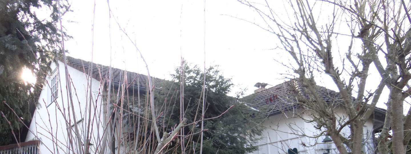 Foto 5 von 10 — Einfamilienhaus, Garage