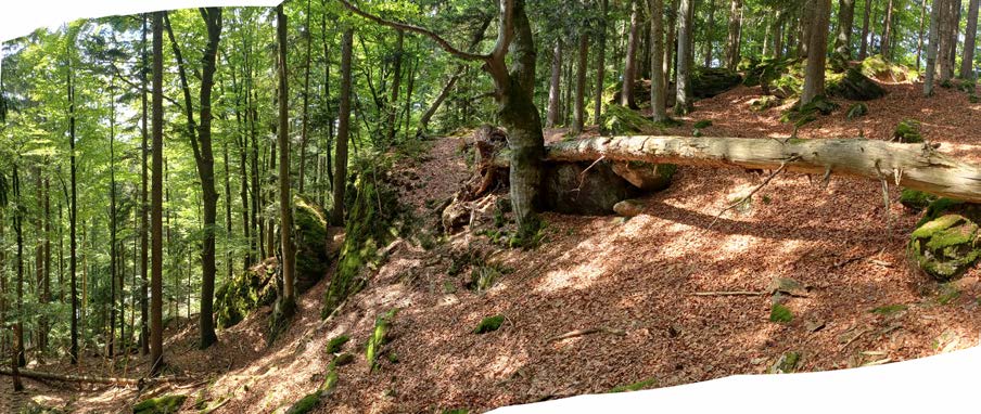 Foto 15 von 27 — unbebautes Grundstück