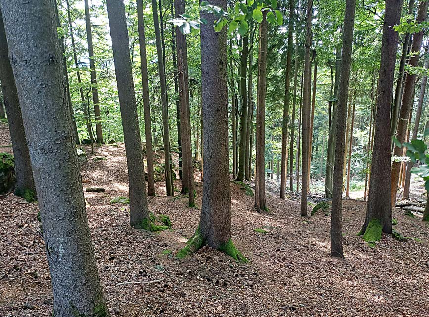Foto 14 von 27 — unbebautes Grundstück