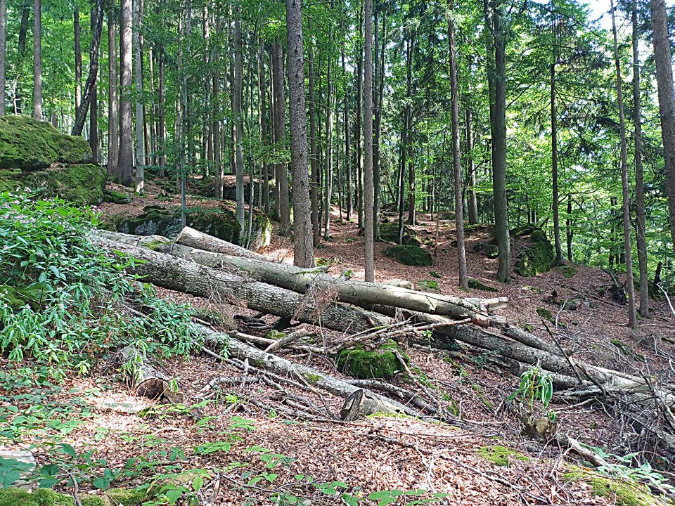 Foto 23 von 27 — unbebautes Grundstück