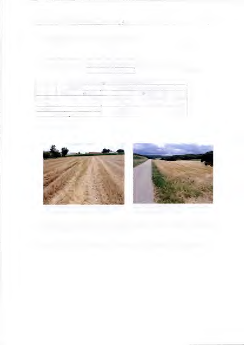 Foto 12 von 15 — land- und forstwirtschaftlich genutztes Grundstück