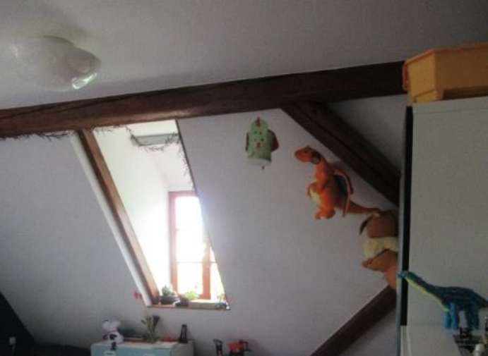 Foto 27 von 37 — land- und forstwirtschaftlich genutztes Grundstück