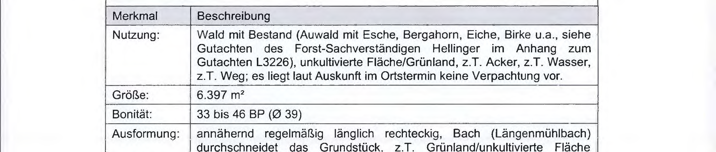 Foto 16 von 39 — land- und forstwirtschaftlich genutztes Grundstück