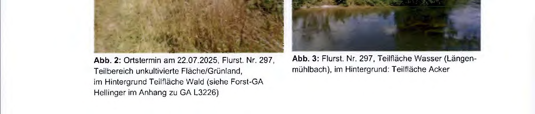 Foto 30 von 39 — land- und forstwirtschaftlich genutztes Grundstück