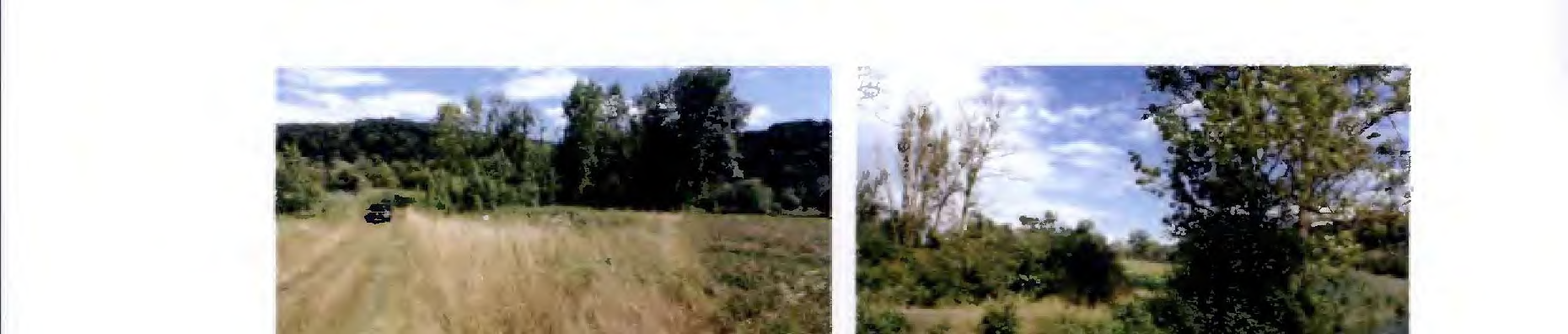 Foto 29 von 39 — land- und forstwirtschaftlich genutztes Grundstück