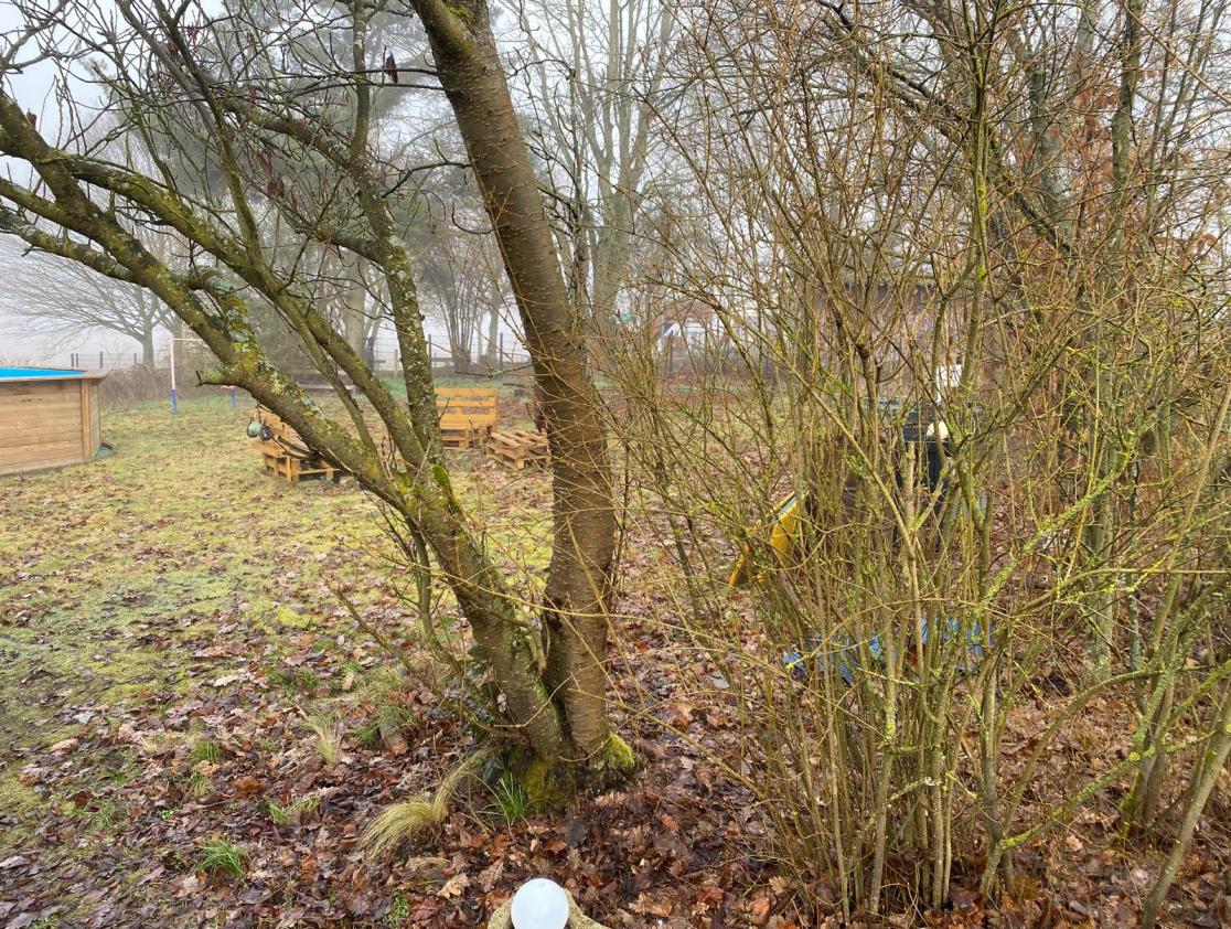 Foto 3 von 17 — Mehrfamilienhaus