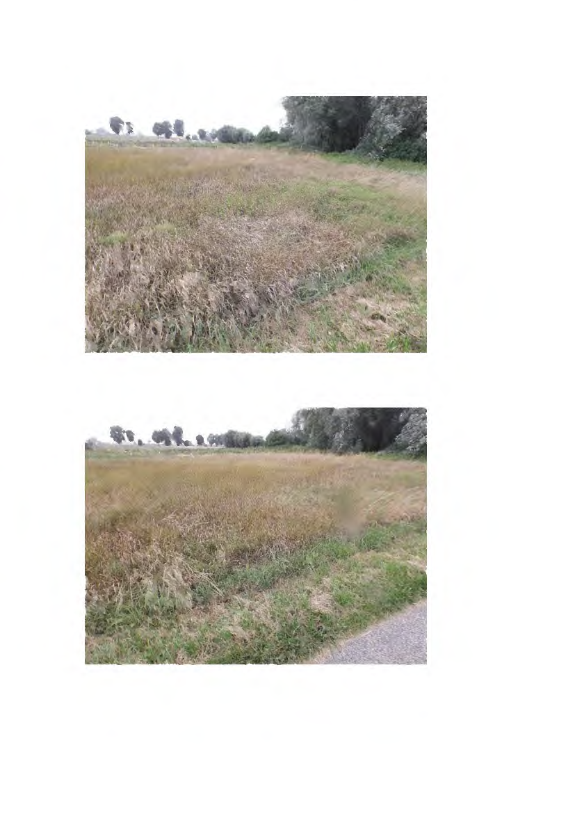 Foto 63 von 66 — land- und forstwirtschaftlich genutztes Grundstück