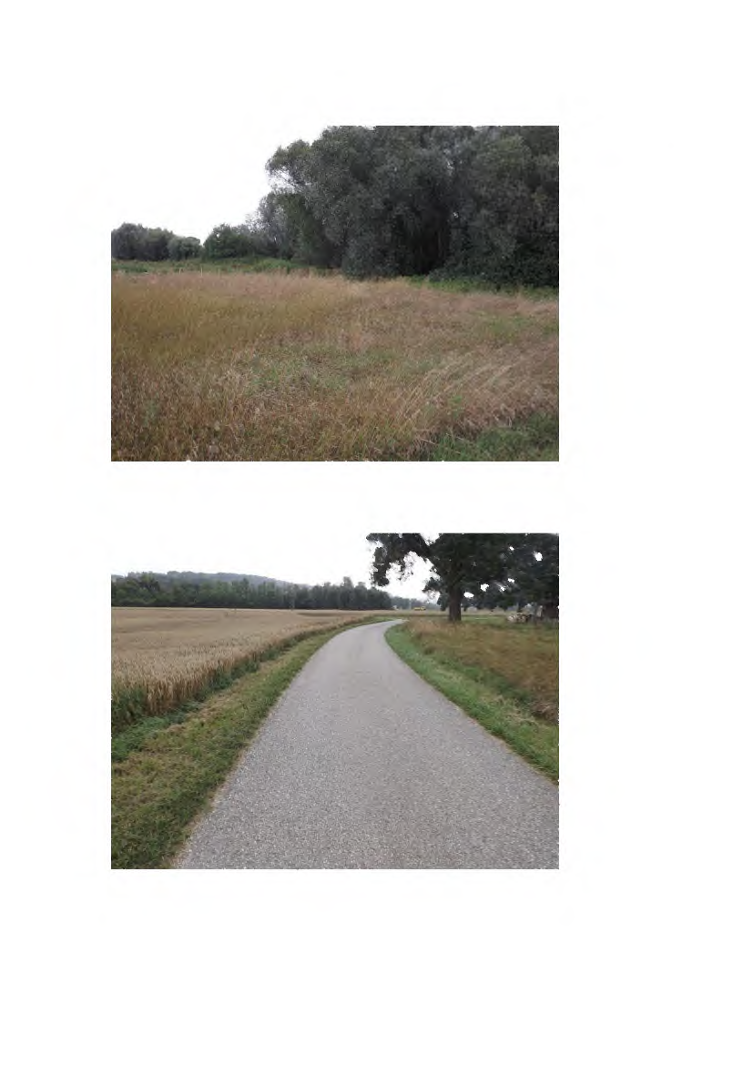 Foto 65 von 66 — land- und forstwirtschaftlich genutztes Grundstück