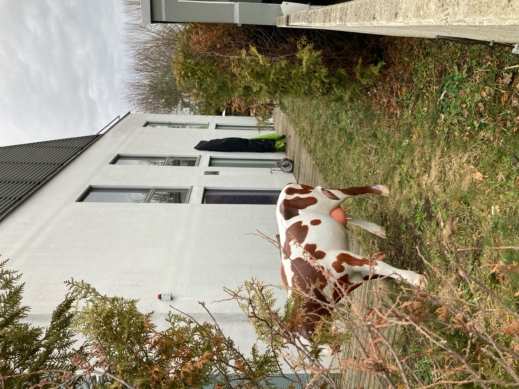Foto 15 von 35 — Eigentumswohnung (3 bis 4 Zimmer), Kfz-Stellplatz (Tiefgarage)