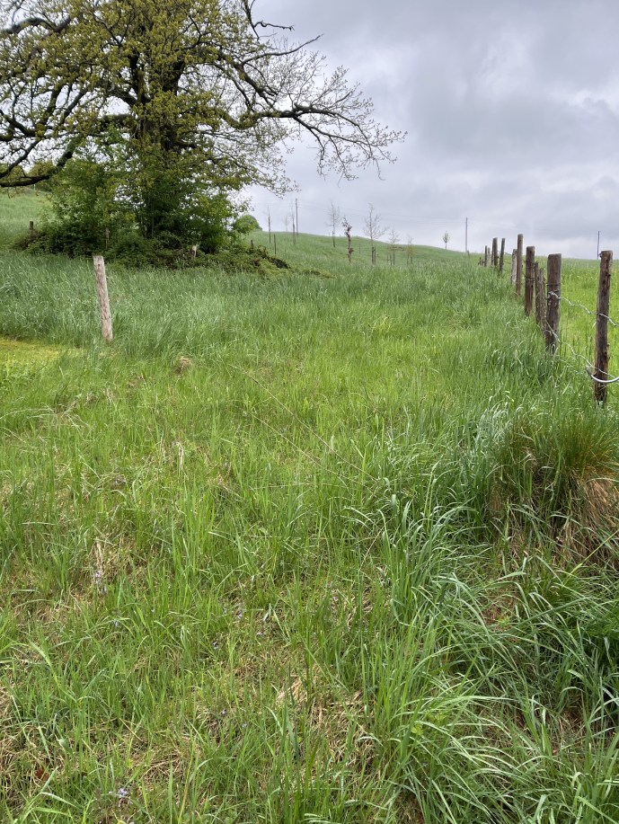 Foto 9 von 12 — land- und forstwirtschaftlich genutztes Grundstück, Sonstiges