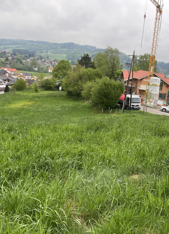 Foto 11 von 12 — land- und forstwirtschaftlich genutztes Grundstück, Sonstiges