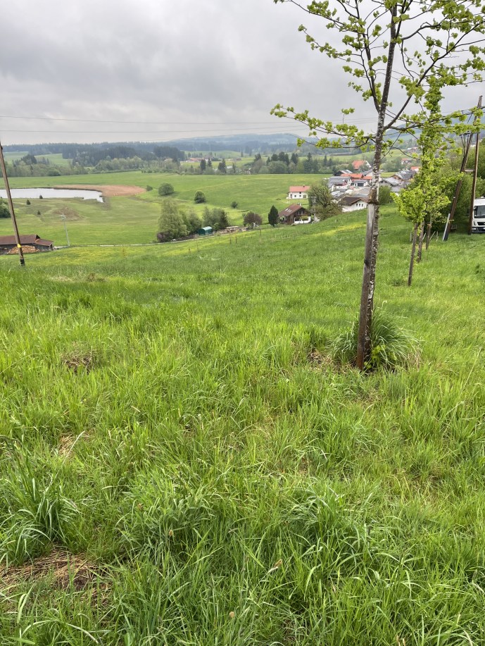 Foto 7 von 9 — land- und forstwirtschaftlich genutztes Grundstück