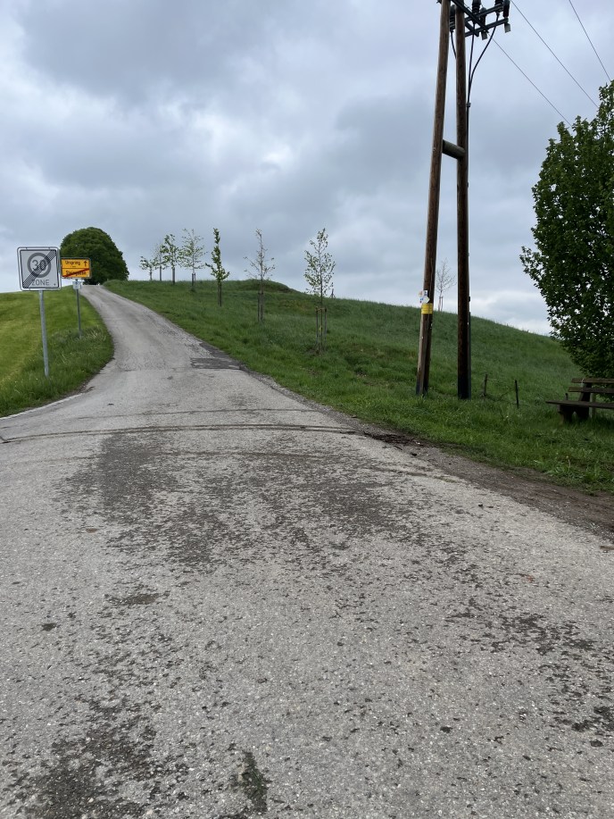 Foto 8 von 9 — land- und forstwirtschaftlich genutztes Grundstück