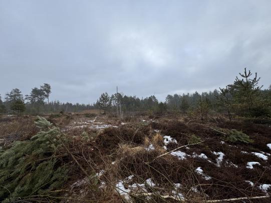 Foto 8 von 20 — unbebautes Grundstück