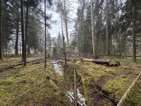Foto 13 von 20 — unbebautes Grundstück