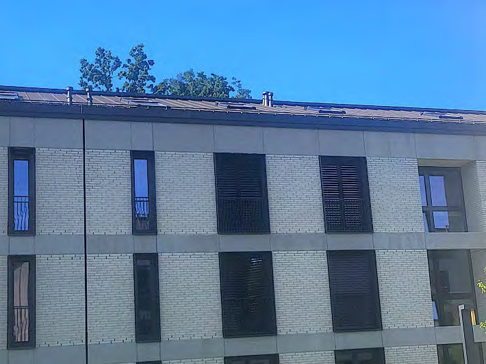 Foto 8 von 34 — Eigentumswohnung (3 bis 4 Zimmer)