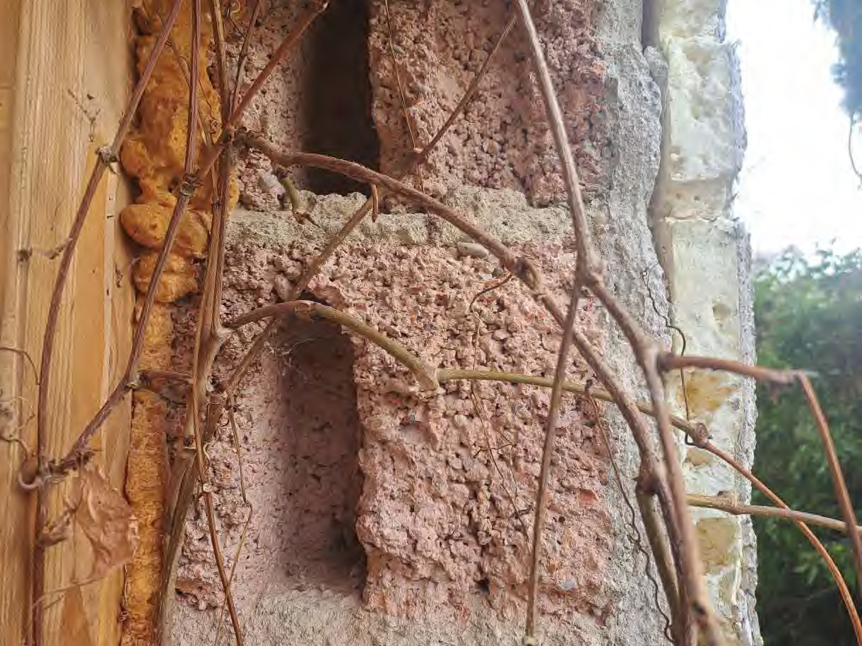 Foto 8 von 27 — Doppelhaushälfte