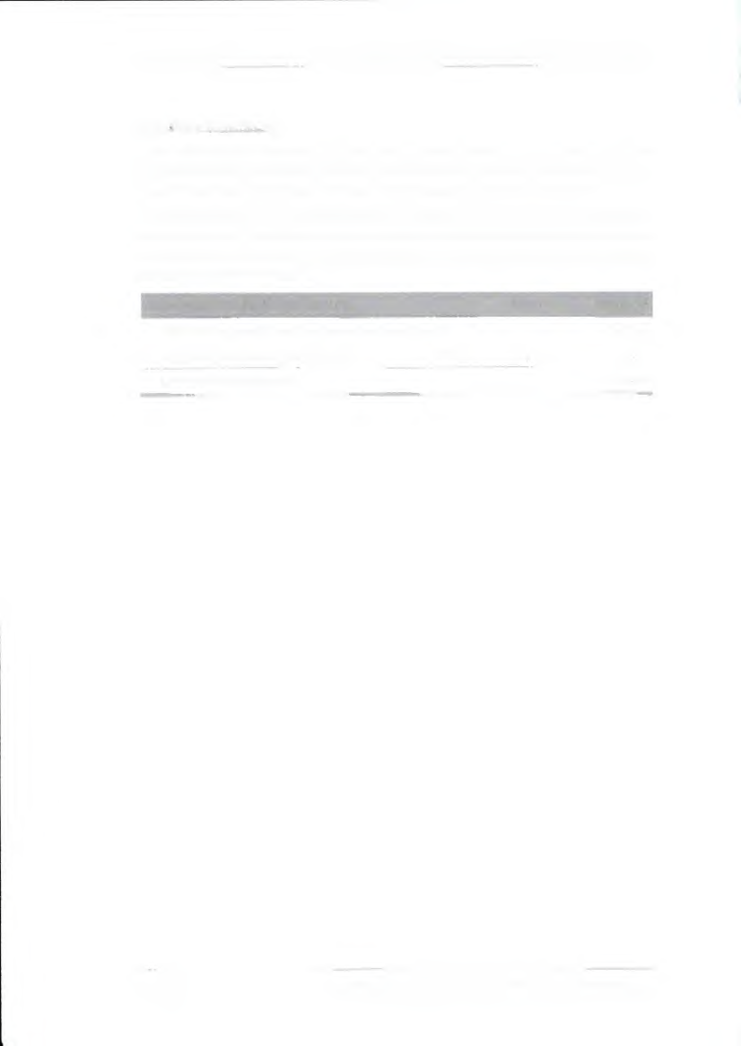 Foto 91 von 94 — Doppelhaushälfte, Garage, Verkehrsfläche