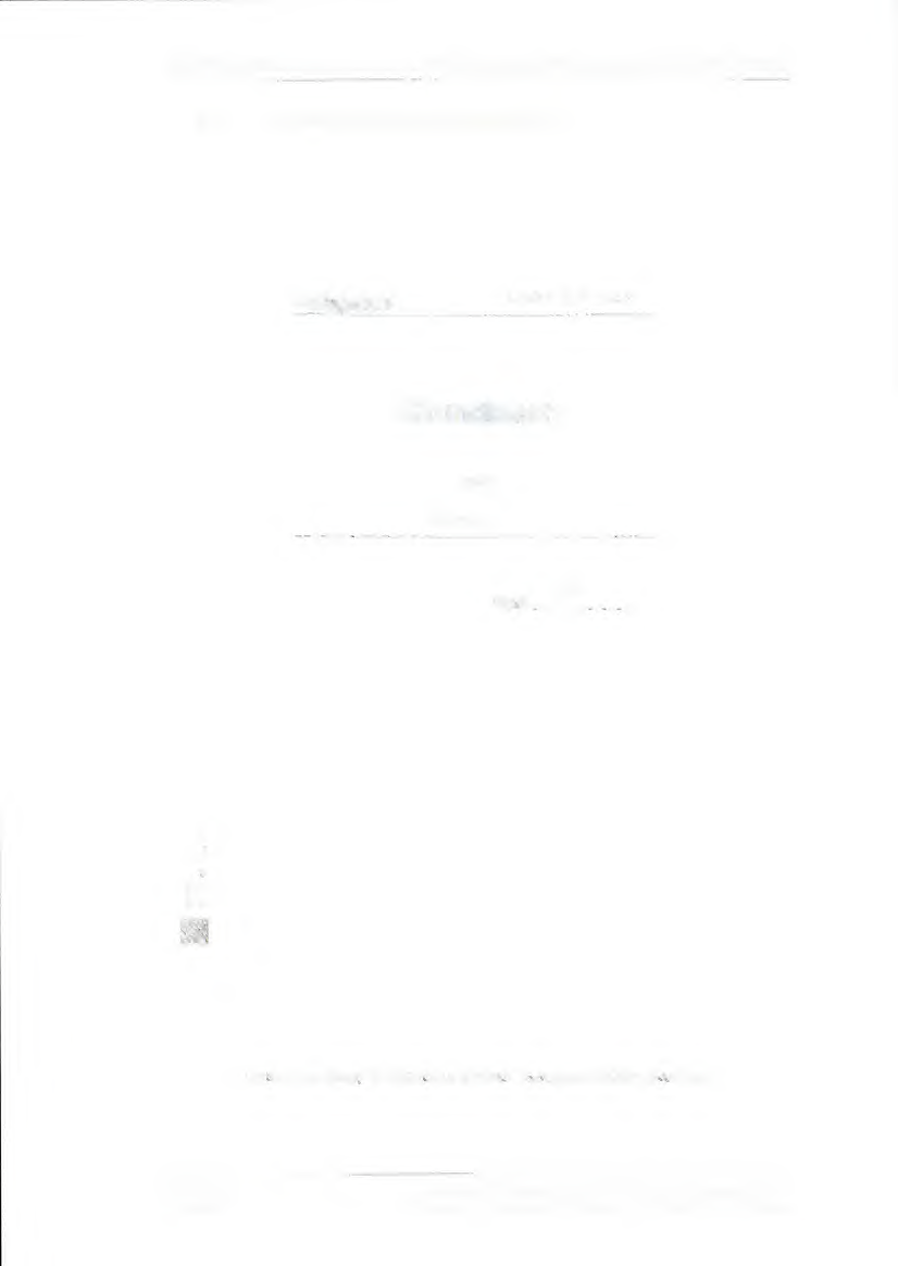 Foto 73 von 94 — Doppelhaushälfte, Garage, Verkehrsfläche