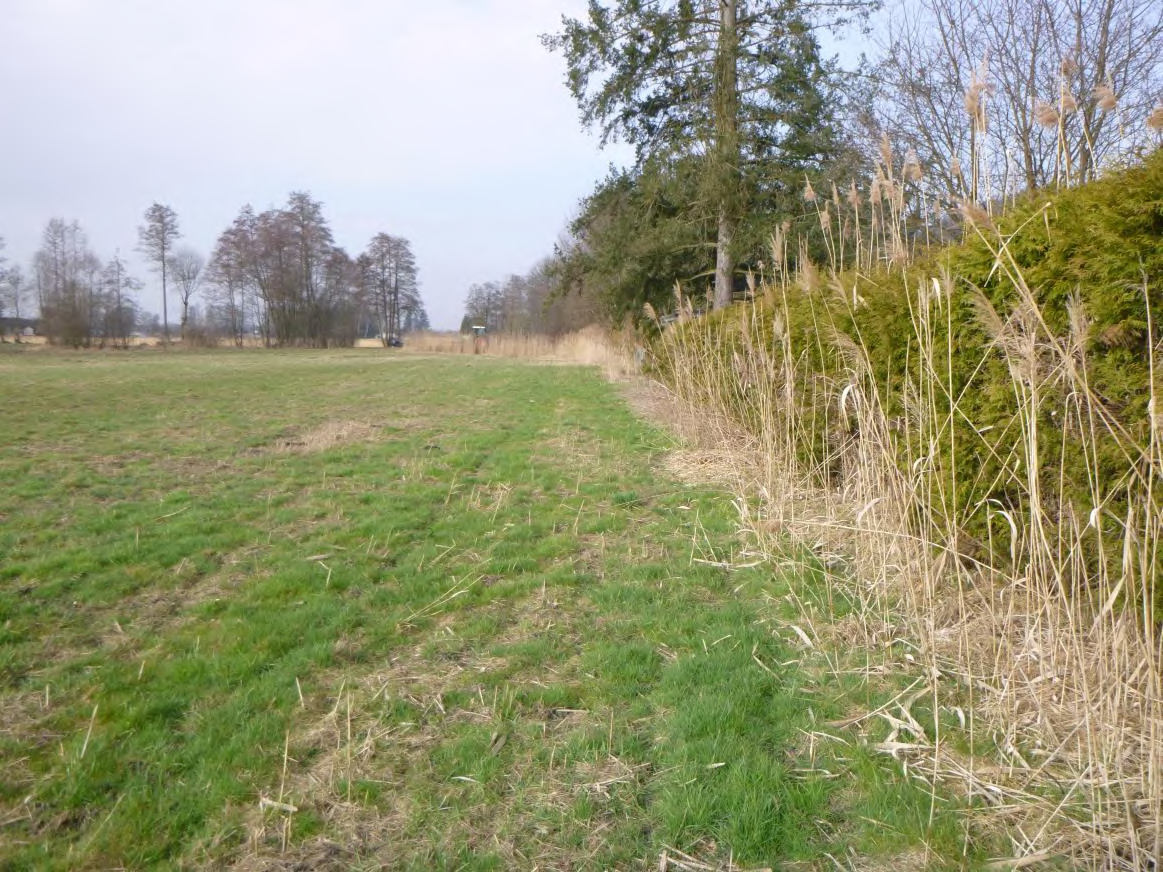 Foto 5 von 8 — land- und forstwirtschaftlich genutztes Grundstück