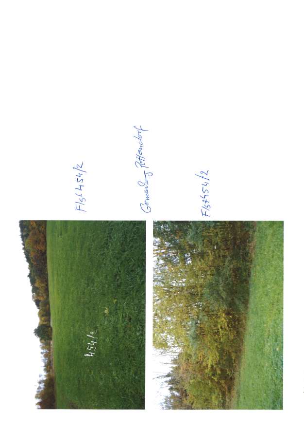 Foto 4 von 5 — land- und forstwirtschaftlich genutztes Grundstück