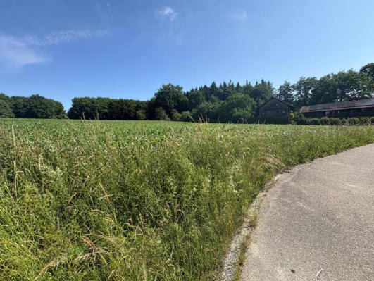 Foto 12 von 25 — unbebautes Grundstück