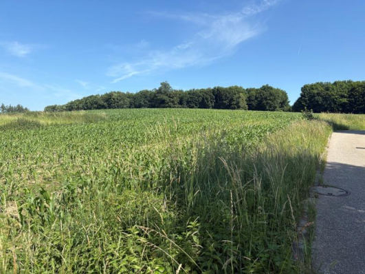 Foto 11 von 25 — unbebautes Grundstück