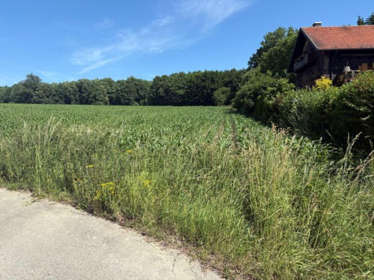 Foto 14 von 25 — unbebautes Grundstück