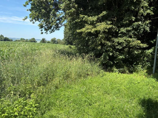 Foto 17 von 25 — unbebautes Grundstück