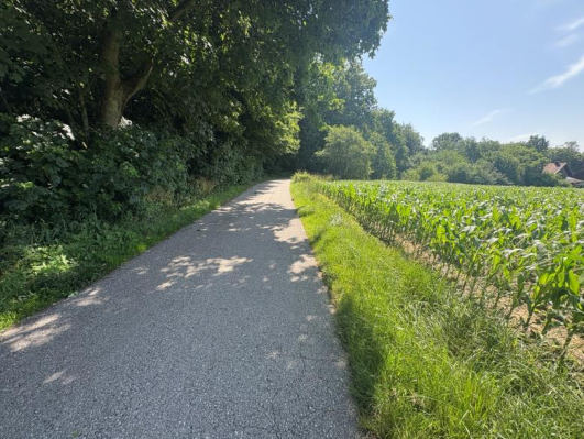 Foto 19 von 25 — unbebautes Grundstück