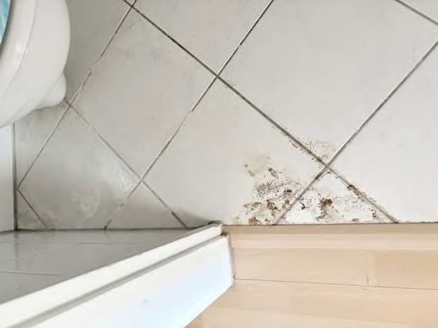 Foto 34 von 44 — Eigentumswohnung (1 bis 2 Zimmer)