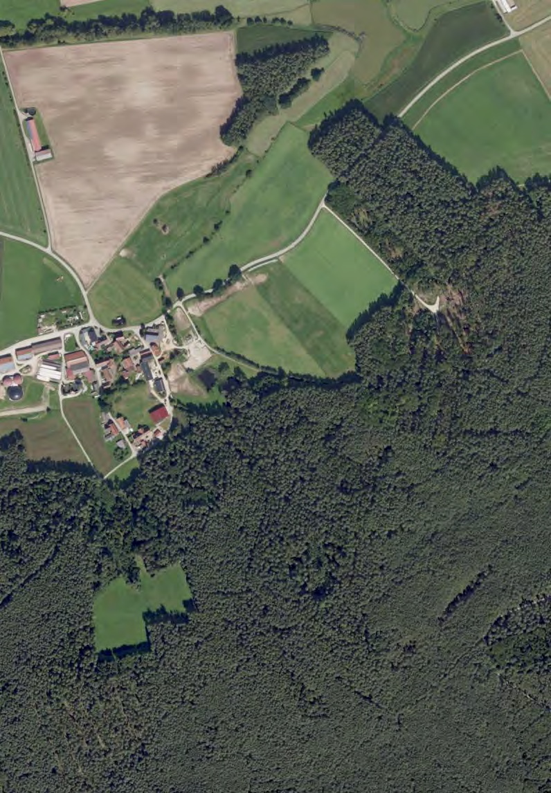 Foto 9 von 10 — land- und forstwirtschaftlich genutztes Grundstück