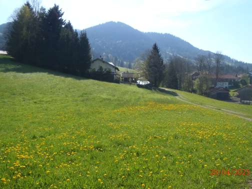Foto 1 von 2 — land- und forstwirtschaftlich genutztes Grundstück