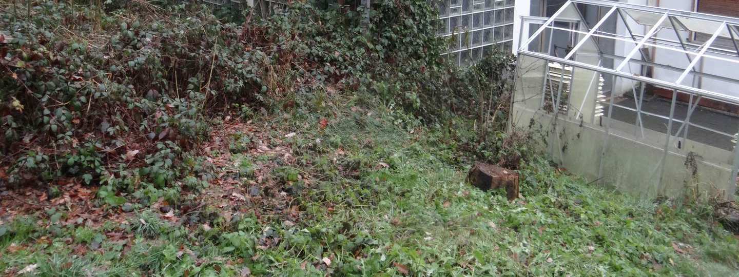Foto 8 von 10 — Einfamilienhaus, Sonstiges