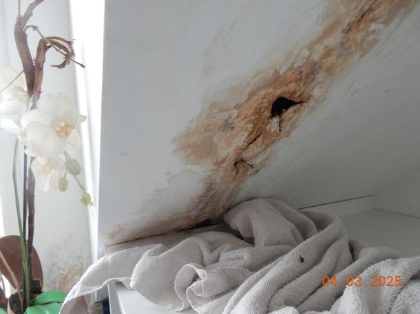 Foto 6 von 14 — Einfamilienhaus, Sonstiges, Garage