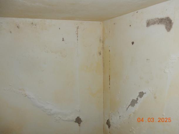 Foto 4 von 14 — Einfamilienhaus, Sonstiges, Garage