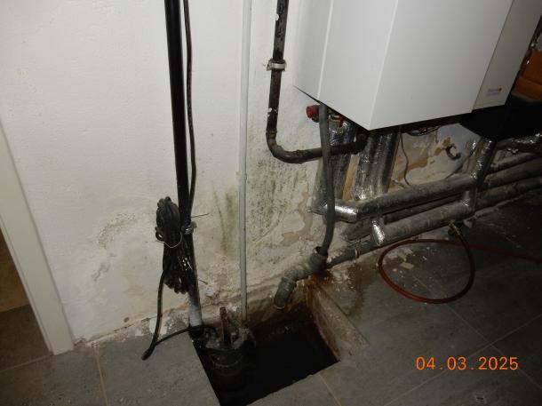 Foto 5 von 14 — Einfamilienhaus, Sonstiges, Garage
