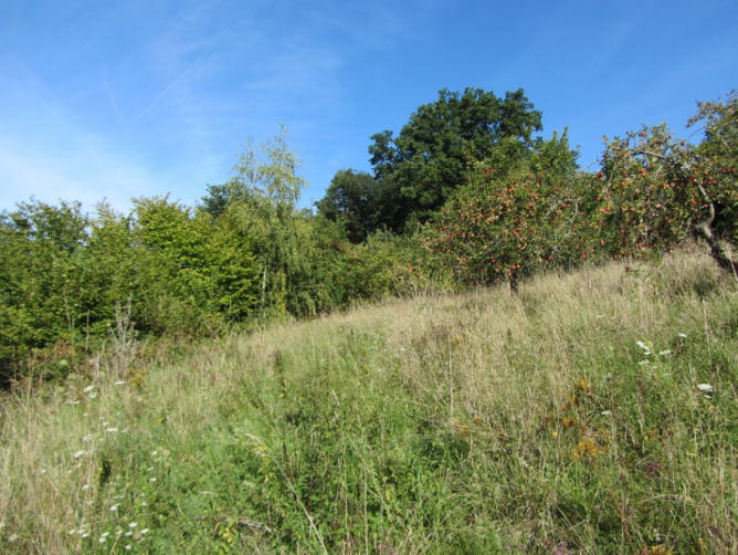 Foto 4 von 15 — Baugrundstück