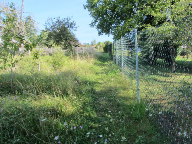 Foto 15 von 15 — Baugrundstück