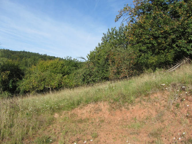 Foto 9 von 15 — Baugrundstück
