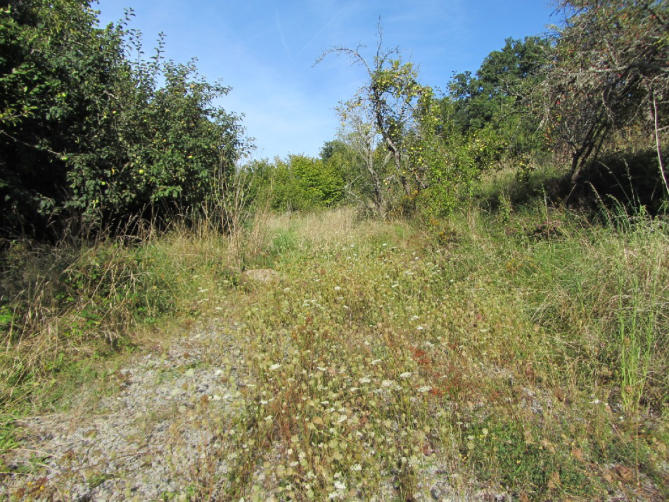 Foto 3 von 15 — Baugrundstück
